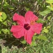 ヒメ日記 2026/02/13 23:52 投稿 えりか 横浜人妻セレブリティ（ユメオト）