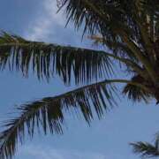 ヒメ日記 2026/03/20 23:44 投稿 えりか 横浜人妻セレブリティ（ユメオト）