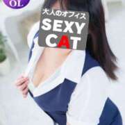 吉野すず おはようございます セクシーキャット 神田店