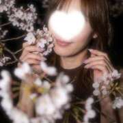 立川れみ Remi♡ 月の真珠-新宿-