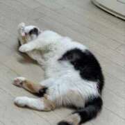 ヒメ日記 2026/04/13 04:40 投稿 みりな 渋谷とある風俗店♡やりすぎコレクション