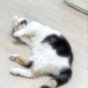 ヒメ日記 2026/04/14 23:20 投稿 みりな 渋谷とある風俗店♡やりすぎコレクション