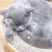 ヒメ日記 2026/04/15 20:20 投稿 みりな 渋谷とある風俗店♡やりすぎコレクション