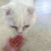 ヒメ日記 2026/04/21 01:50 投稿 みりな 渋谷とある風俗店♡やりすぎコレクション