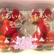 ヒメ日記 2026/03/26 12:32 投稿 りおな モアグループ宇都宮人妻花壇