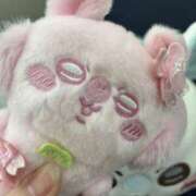 ヒメ日記 2026/03/21 22:40 投稿 花宮にな【OL委員会】 柏OL委員会