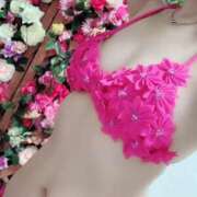 ヒメ日記 2026/02/16 09:58 投稿 みら ディアクイーンズ