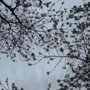 ヒメ日記 2026/04/28 13:24 投稿 うる ぐらどるえっぐ
