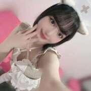 ヒメ日記 2026/04/12 12:03 投稿 そら ジャパンクラブ富士