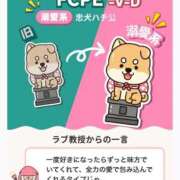 ヒメ日記 2026/04/14 12:22 投稿 そら ジャパンクラブ富士