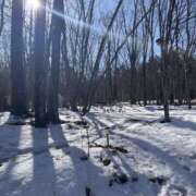 ヒメ日記 2026/02/17 13:35 投稿 伊園　こたろ レズビアン専門店リリーエデン