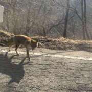 ヒメ日記 2026/02/20 13:55 投稿 伊園　こたろ レズビアン専門店リリーエデン