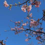 ヒメ日記 2026/02/23 14:04 投稿 伊園　こたろ レズビアン専門店リリーエデン