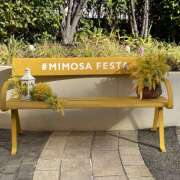 ヒメ日記 2026/03/09 13:50 投稿 伊園　こたろ レズビアン専門店リリーエデン