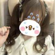 ヒメ日記 2026/02/25 00:43 投稿 ひめ カルテ