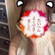 ヒメ日記 2026/04/01 17:00 投稿 ひめ カルテ