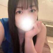 ヒメ日記 2026/03/17 16:25 投稿 中庭 ニュー姫