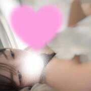 ヒメ日記 2026/03/24 18:07 投稿 中庭 ニュー姫