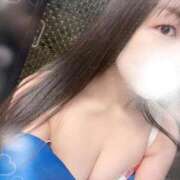 ヒメ日記 2026/04/04 10:25 投稿 中庭 ニュー姫