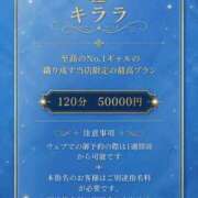 キララ ⭐️スペシャル祭り🏮⭐️ ティンカーベル