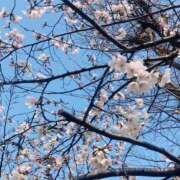 茜(あかね) 🌸おはようございます🌸 PLUS難波店