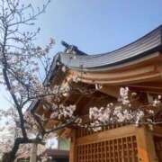 ヒメ日記 2026/04/07 08:14 投稿 茜(あかね) PLUS難波店