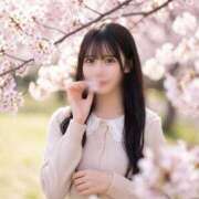 ヒメ日記 2026/03/27 16:20 投稿 しほ キューティーハニー