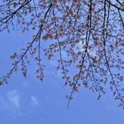 ヒメ日記 2026/03/12 16:41 投稿 じゅんこ 熟女の風俗最終章 宇都宮店