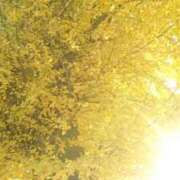 ヒメ日記 2026/04/13 05:51 投稿 じゅんこ 熟女の風俗最終章 宇都宮店