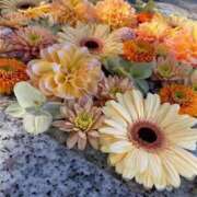 坪田ほむら 春🌸 ザイオン 会員制アロマエステ