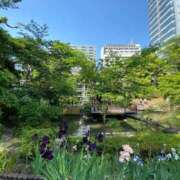 ヒメ日記 2026/03/08 16:29 投稿 坪田ほむら ザイオン 会員制アロマエステ