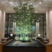 ヒメ日記 2026/03/19 13:49 投稿 坪田ほむら ザイオン 会員制アロマエステ