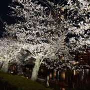 ヒメ日記 2026/03/20 15:49 投稿 坪田ほむら ザイオン 会員制アロマエステ