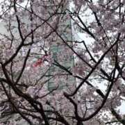 ヒメ日記 2026/03/23 12:09 投稿 坪田ほむら ザイオン 会員制アロマエステ