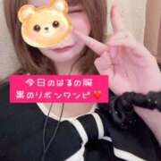 ヒメ日記 2026/02/19 19:48 投稿 はるの 錦糸町人妻セレブリティ（ユメオト）