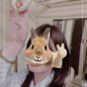 ヒメ日記 2026/04/10 01:07 投稿 はるの 錦糸町人妻セレブリティ（ユメオト）