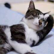 ヒメ日記 2026/02/20 19:43 投稿 はるの 上野人妻セレブリティ(ユメオト)