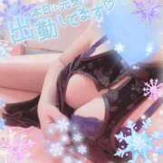 ヒメ日記 2026/02/08 08:36 投稿 あるか 三浦屋別館