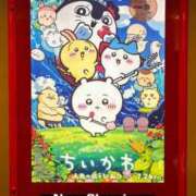ヒメ日記 2026/07/26 08:31 投稿 あるか 三浦屋別館