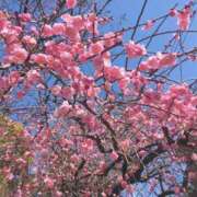 ヒメ日記 2026/02/21 12:50 投稿 きら 川崎・東横人妻城