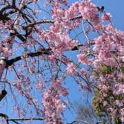 ヒメ日記 2026/03/24 22:14 投稿 きら 川崎・東横人妻城