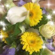 ヒメ日記 2026/03/19 08:30 投稿 桜ちほり アラフォーna奥様 アラフィフna奥様（埼玉ハレ系）