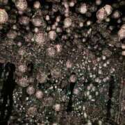 ヒメ日記 2026/04/15 21:04 投稿 沙倉ひろ 熟女パラダイス池袋店(カサブランカグループ)