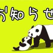 ヒメ日記 2026/02/09 23:15 投稿 平良 西川口デッドボール