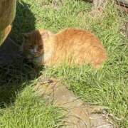 ヒメ日記 2026/02/05 21:27 投稿 牧瀬 あなたに逢いたくて