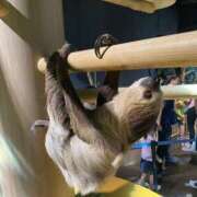 ヒメ日記 2026/02/10 23:07 投稿 牧瀬 あなたに逢いたくて