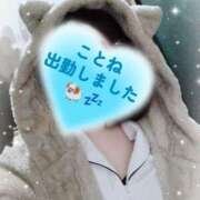 ヒメ日記 2026/02/22 20:18 投稿 ことね 治療院.LOVE 宇都宮店