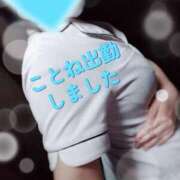 ヒメ日記 2026/02/25 18:12 投稿 ことね 治療院.LOVE 宇都宮店