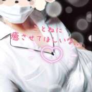 ヒメ日記 2026/02/27 12:03 投稿 ことね 治療院.LOVE 宇都宮店