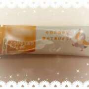 ヒメ日記 2026/03/26 09:06 投稿 ことね 治療院.LOVE 宇都宮店